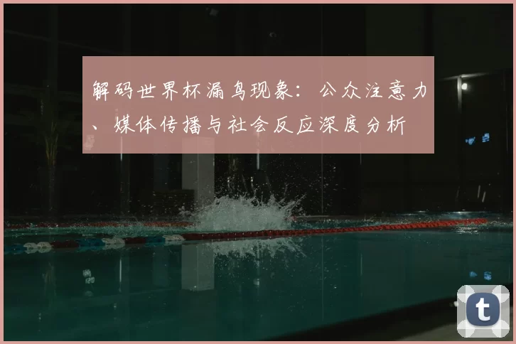 解码世界杯漏鸟现象:公众注意力、媒体传播与社会反应深度分析