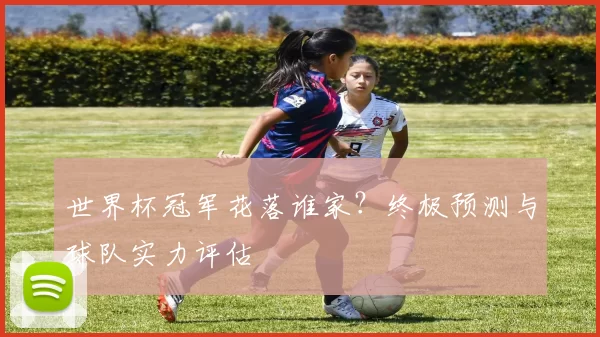 世界杯冠军花落谁家?终极预测与球队实力评估