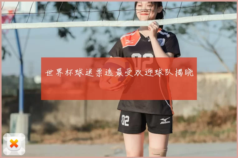 世界杯球迷票选最受欢迎球队揭晓