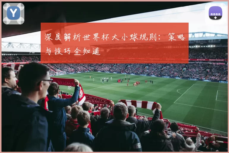 深度解析世界杯大小球规则：策略与技巧全知道