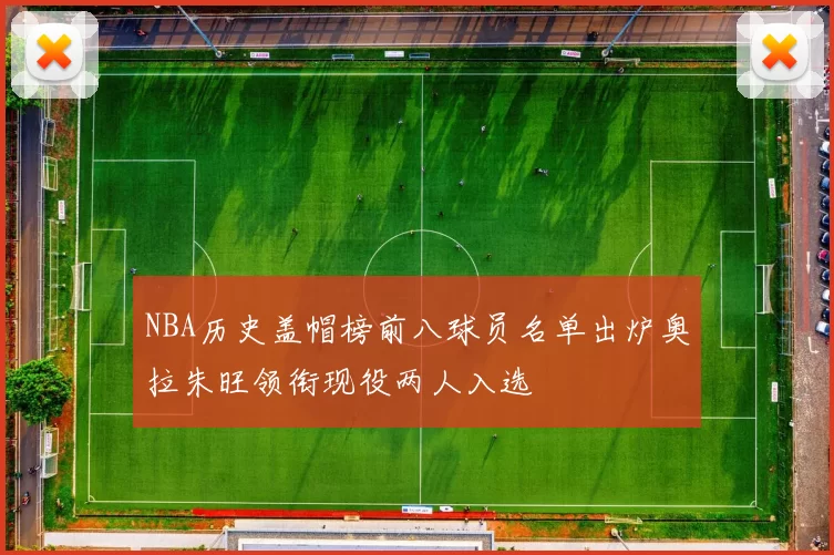 NBA历史盖帽榜前八球员名单出炉奥拉朱旺领衔现役两人入选
