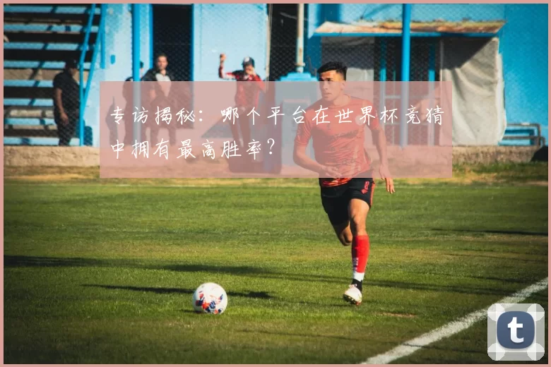 专访揭秘:哪个平台在世界杯竞猜中拥有最高胜率?