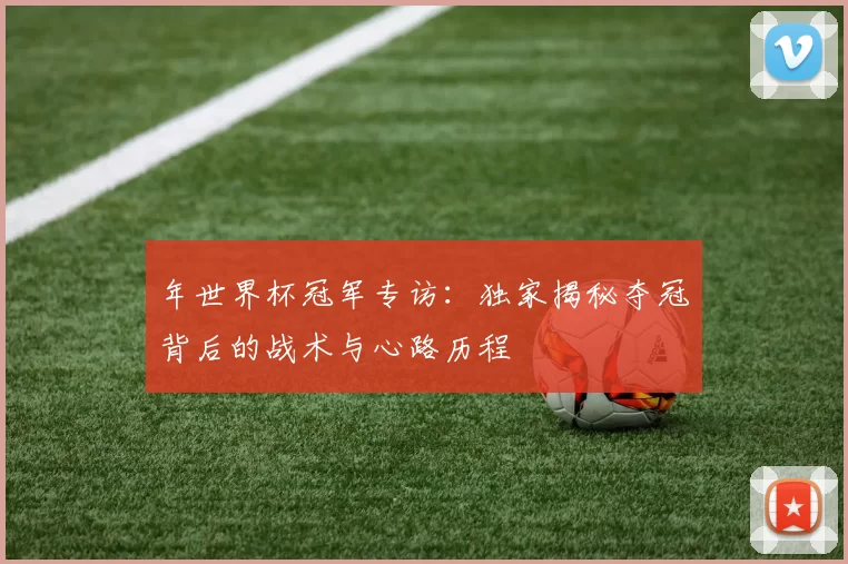年世界杯冠军专访:独家揭秘夺冠背后的战术与心路历程
