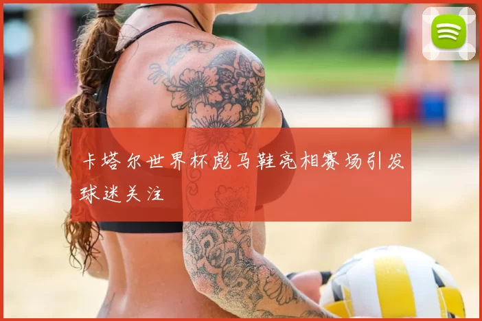 卡塔尔世界杯彪马鞋亮相赛场引发球迷关注