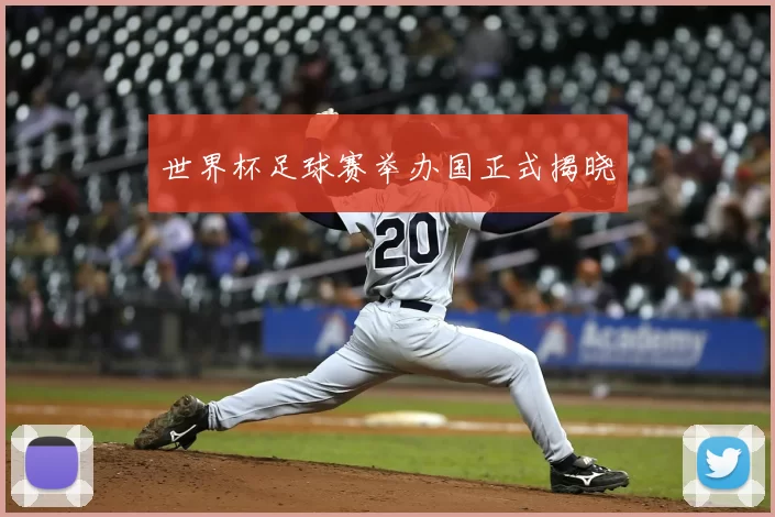 世界杯足球赛举办国正式揭晓