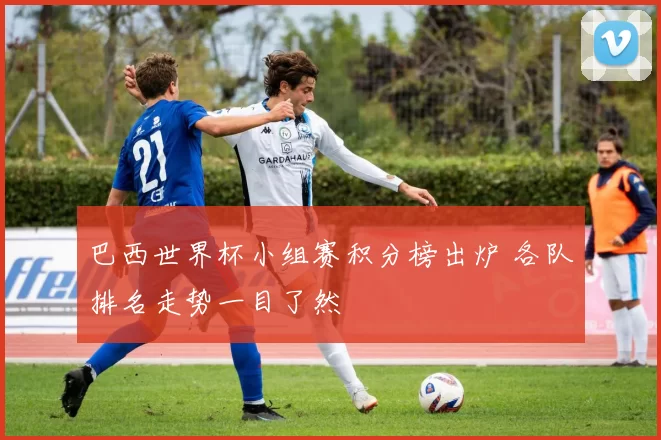 巴西世界杯小组赛积分榜出炉 各队排名走势一目了然